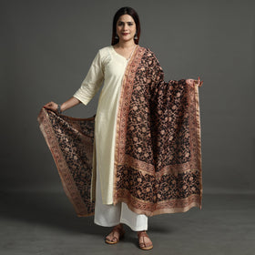  Pedana Kalamkari Block Printed Handloom Chanderi Silk Dupatta with Zari Border 70 Online at iTokri.com