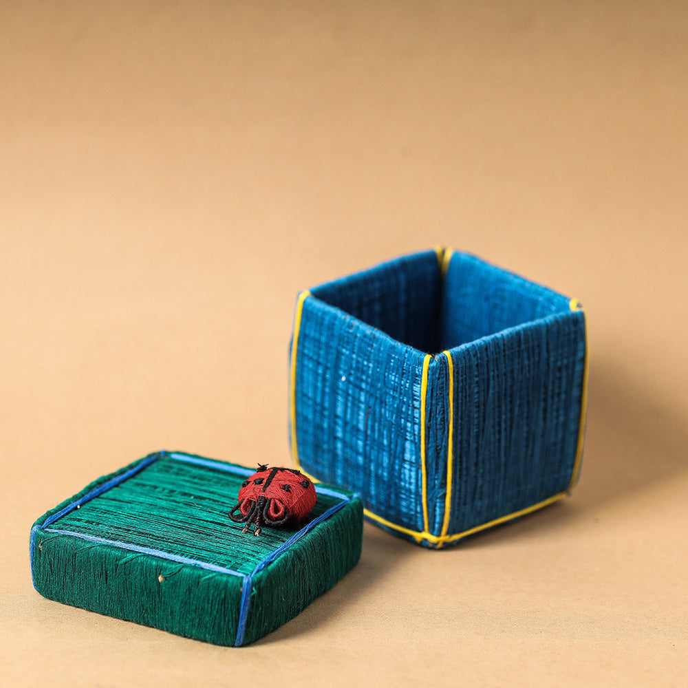  Handmade Coir Jewelry Box - Bug 