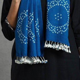 Blue Kutch Handwoven Merino Wool Shibori & Bandhani Stole