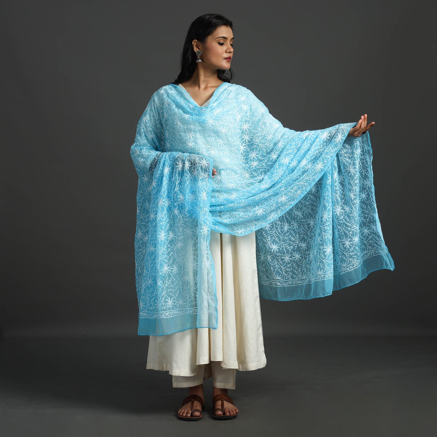 Blue - lucknow chikankari tepchi embroidery georgette