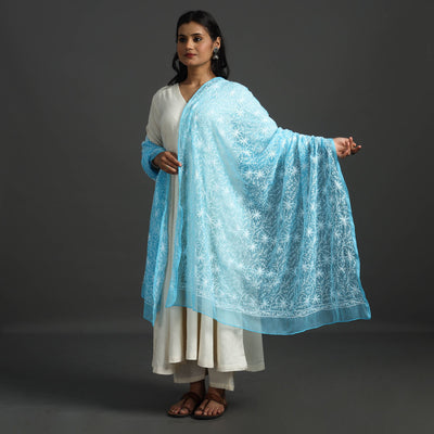 Blue - lucknow chikankari tepchi embroidery georgette