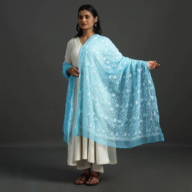 Blue - lucknow chikankari tepchi embroidery georgette