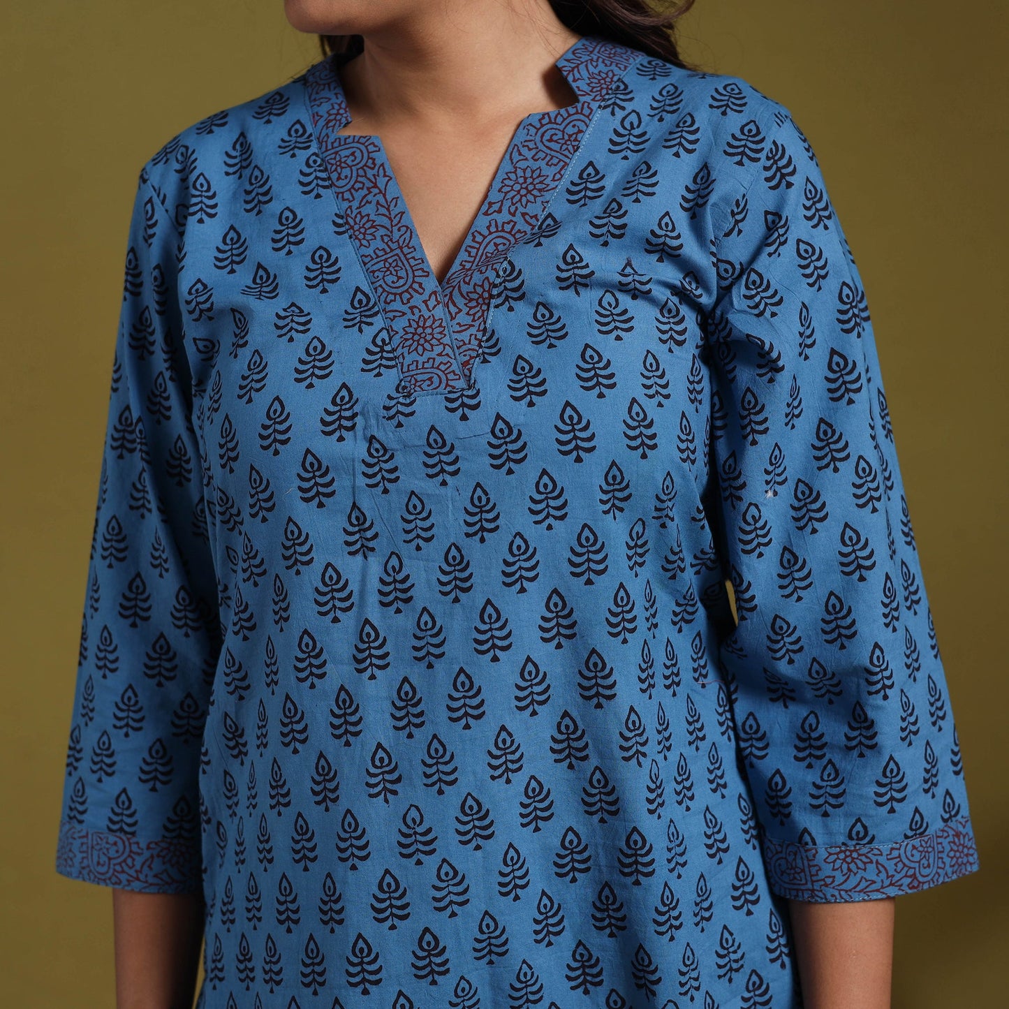 Blue - natural dyed cotton straight bagh kurta 14