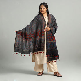 Blue - Block Print Chanderi Silk Handloom Ajrakh Dupatta 23