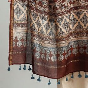 Brown - Block Printed Chanderi Silk Handloom Ajrakh Dupatta 13