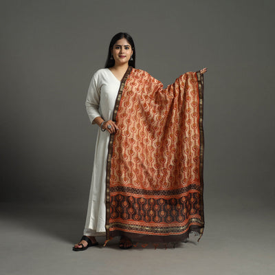 Block Print Brown Chanderi Silk Ajrakh Dabu Bagru Dupatta