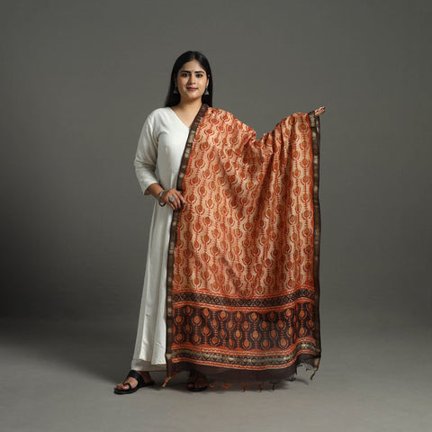 Block Print Brown Chanderi Silk Ajrakh Dabu Bagru Dupatta