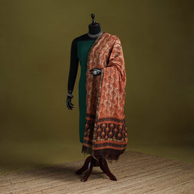 Brown - chanderi silk hand natural dyed dabu bagru dupatta