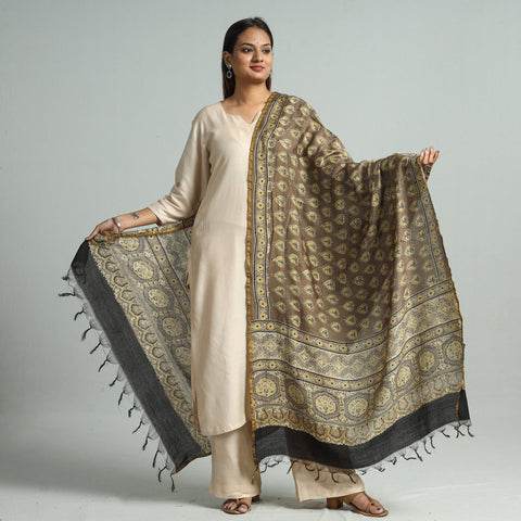 Brown - Hand Block Print Chanderi Silk Ajrakh Dupatta 151