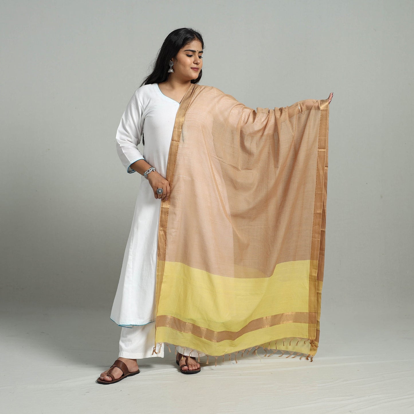 Brown - handloom cotton nizam zari border mangalagiri