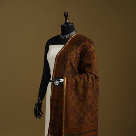Brown - natural dyed hand chanderi silk bagh dupatta 11