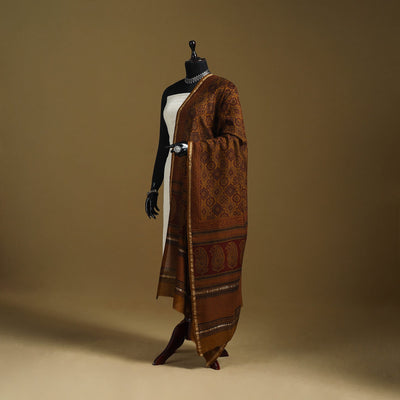 Brown - natural dyed hand chanderi silk bagh dupatta 11