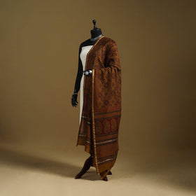 Brown - natural dyed hand chanderi silk bagh dupatta 11