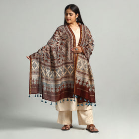Brown - Block Printed Chanderi Silk Handloom Ajrakh Dupatta 13