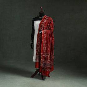 Chanderi silk kutch hand block print natural dyed handloom