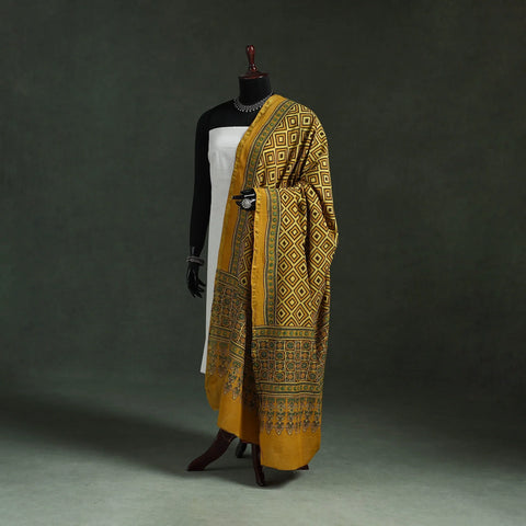 Chanderi silk kutch hand block print natural dyed handloom