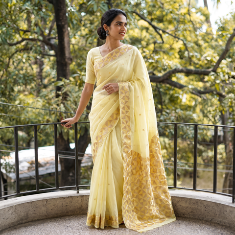 Yellow Chinon Silk Hand Embroidery Phulkari Saree, draped and worn by a woman, AI visual of the saree, iTokri