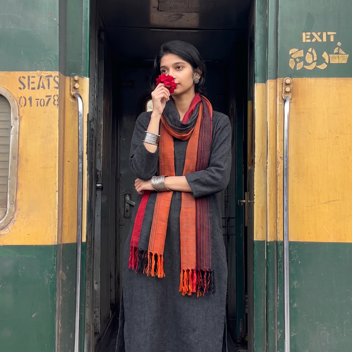 Multicolor Double Shade Kumaun Handwoven Pure Merino Wool Stole, worn by a woman, AI visual of the stole, iTokri