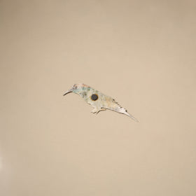 Bird - tholu bommalata leather puppet fridge magnet 13