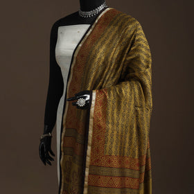 Chanderi silk bagh natural dyed dupatta with zari border 44