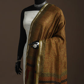 Chanderi silk bagh natural dyed dupatta with zari border 46