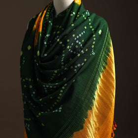 Kutch handwoven bandhani woolen shawl with zari border 57