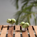  Handcrafted Ceramic Toys (Set of 2) 