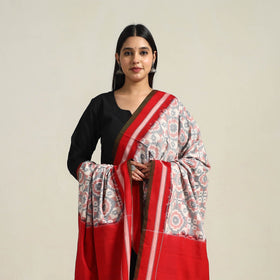  Grey Handloom Cotton Pochampally Double Ikat Dupatta