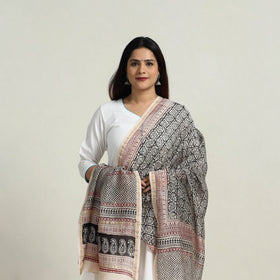 Grey - natural dyed hand chanderi silk bagh dupatta 24