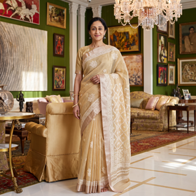 Brown Hand Embroidered Kota Doria Cotton Lucknowi Chikankari Saree with Border, draped and worn by a woman, AI visual of the saree, iTokri