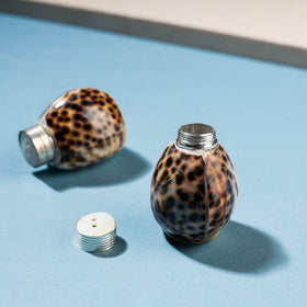  Handcrafted Seashell Salt & Pepper Shaker Online at iTokri.com 