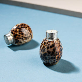  Handcrafted Seashell Salt & Pepper Shaker Online at iTokri.com 