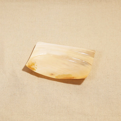  Handcrafted Seashell Soap Dish Online at iTokri.com 