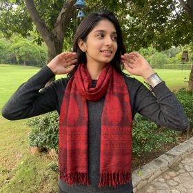 Red Handwoven Merino Wool Natural Dyed Bagh Hand Block Print Stole, worn by a woman, AI visual of the stole, iTokri