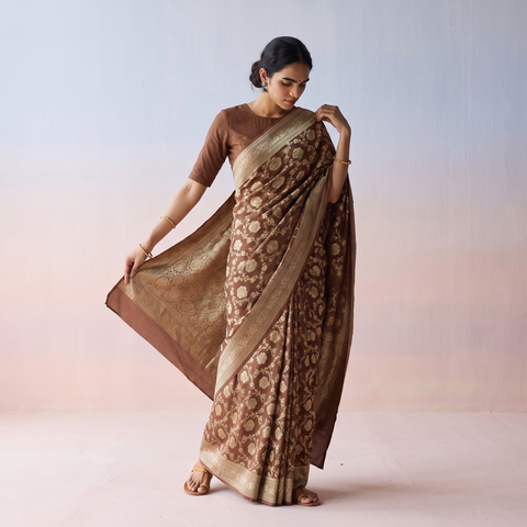 Brown Handwoven Zari Jaal Work Mulberry x Muga Silk Heavy Banarasi Saree, draped and worn by a woman, AI visual of the saree, iTokri