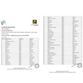  Green Organic Herbal Gulal Holi Colour (100gm)