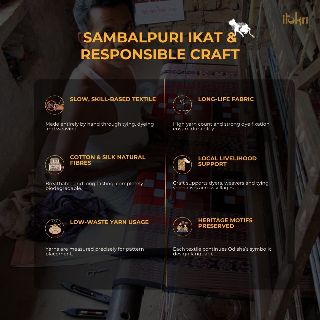 Ikat handloom cotton sambalpuri saree 11 - handcrafted