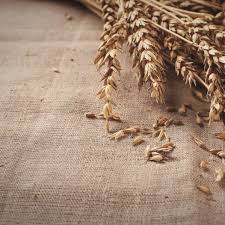 Jute Fabric