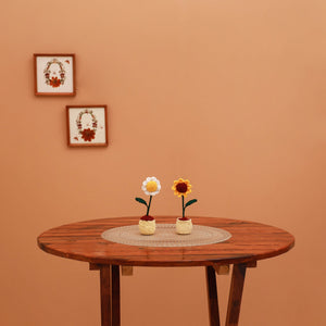 Handmade crochet flower pots (set of 2) 19 - handcrafted