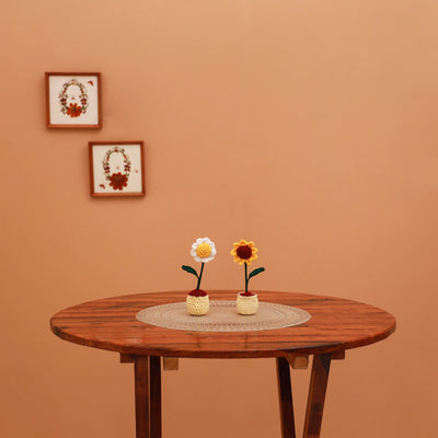 Handmade crochet flower pots (set of 2) 19 - handcrafted