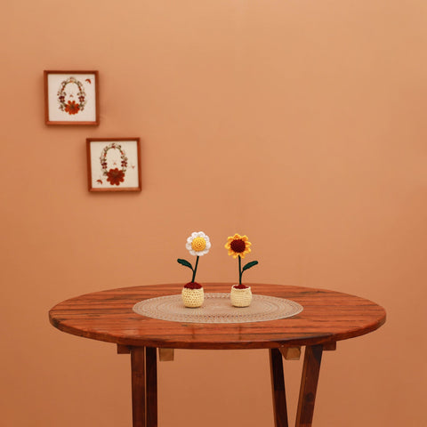 Handmade crochet flower pots (set of 2) 19 - handcrafted