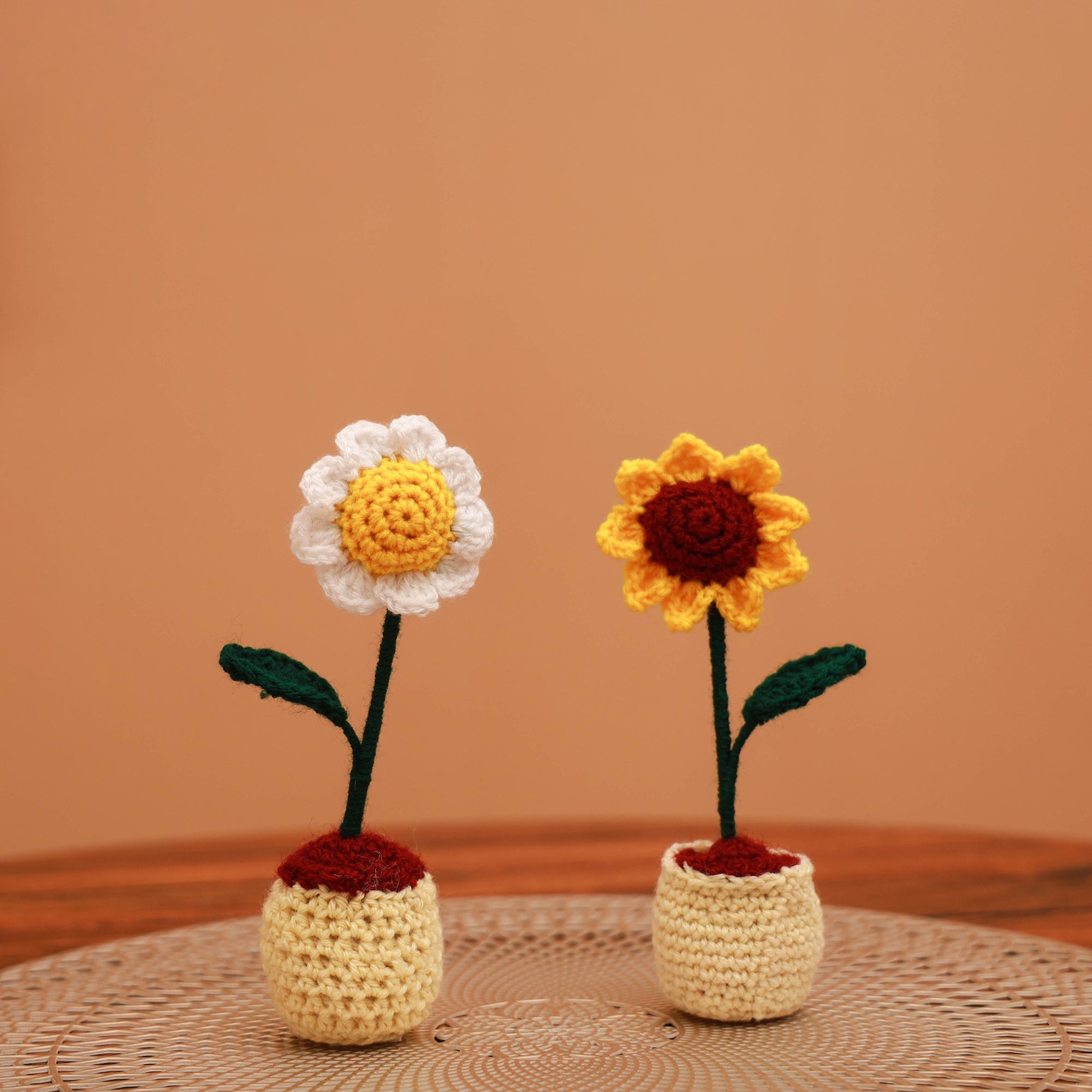 Handmade crochet flower pots (set of 2) 19 - handcrafted
