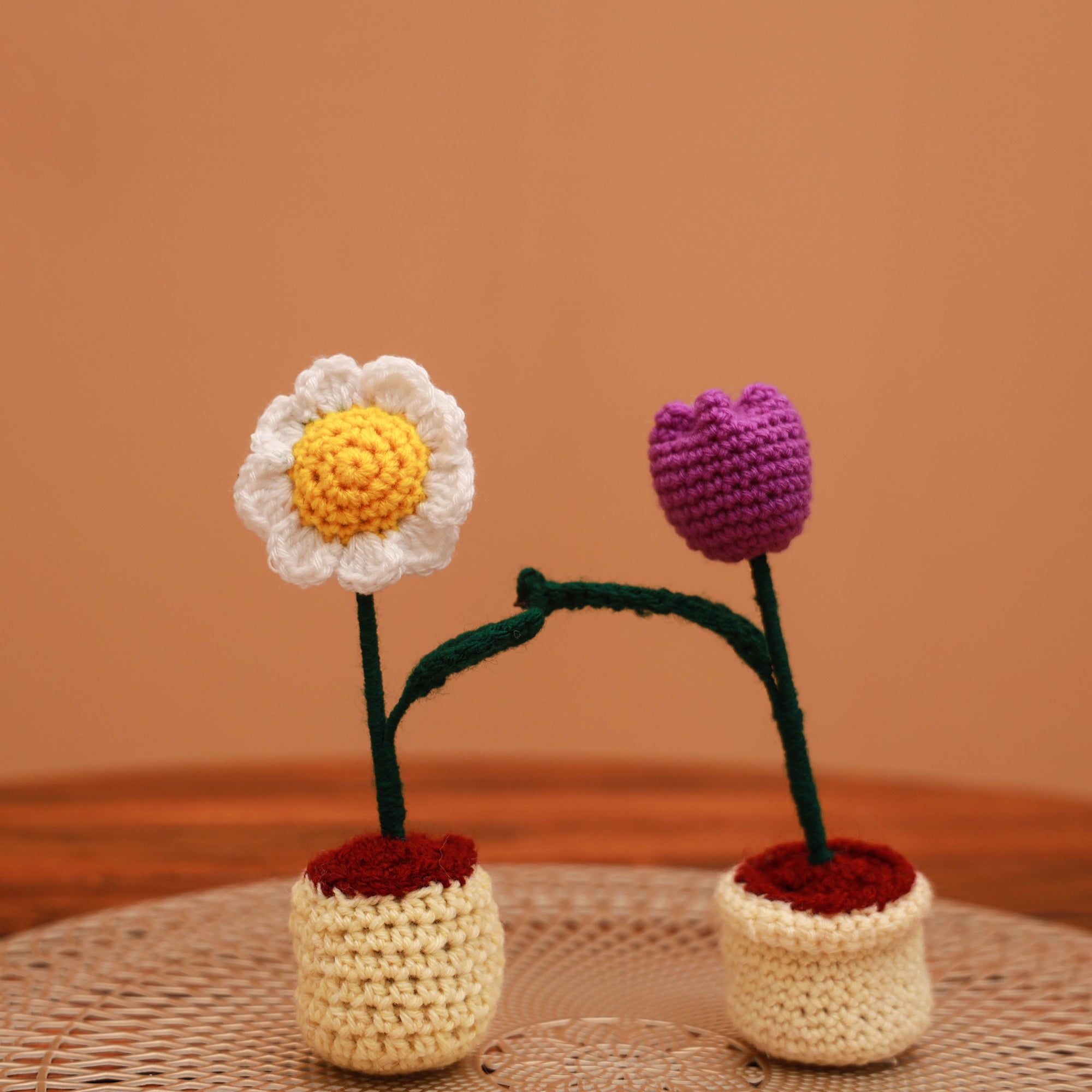 Handmade crochet flower pots (set of 2) 23 - handcrafted