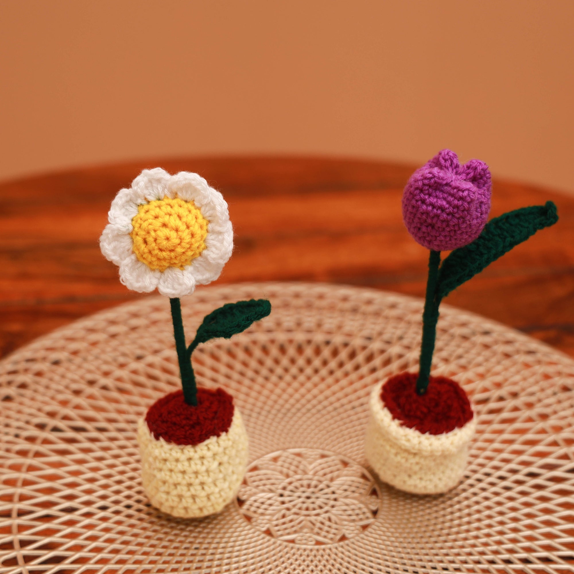 Handmade crochet flower pots (set of 2) 23 - handcrafted
