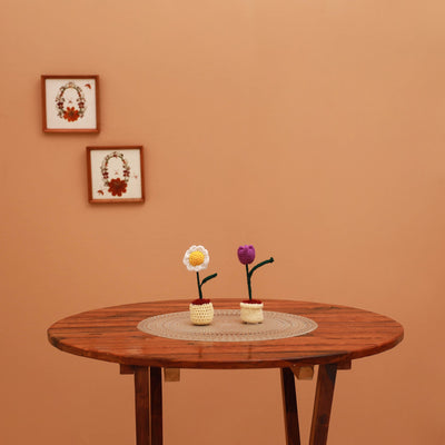 Handmade crochet flower pots (set of 2) 23 - handcrafted