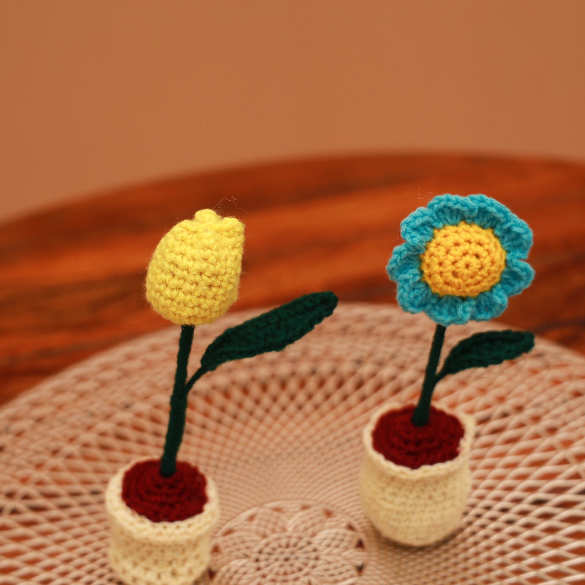 Handmade crochet flower pots (set of 2) 24 - handcrafted