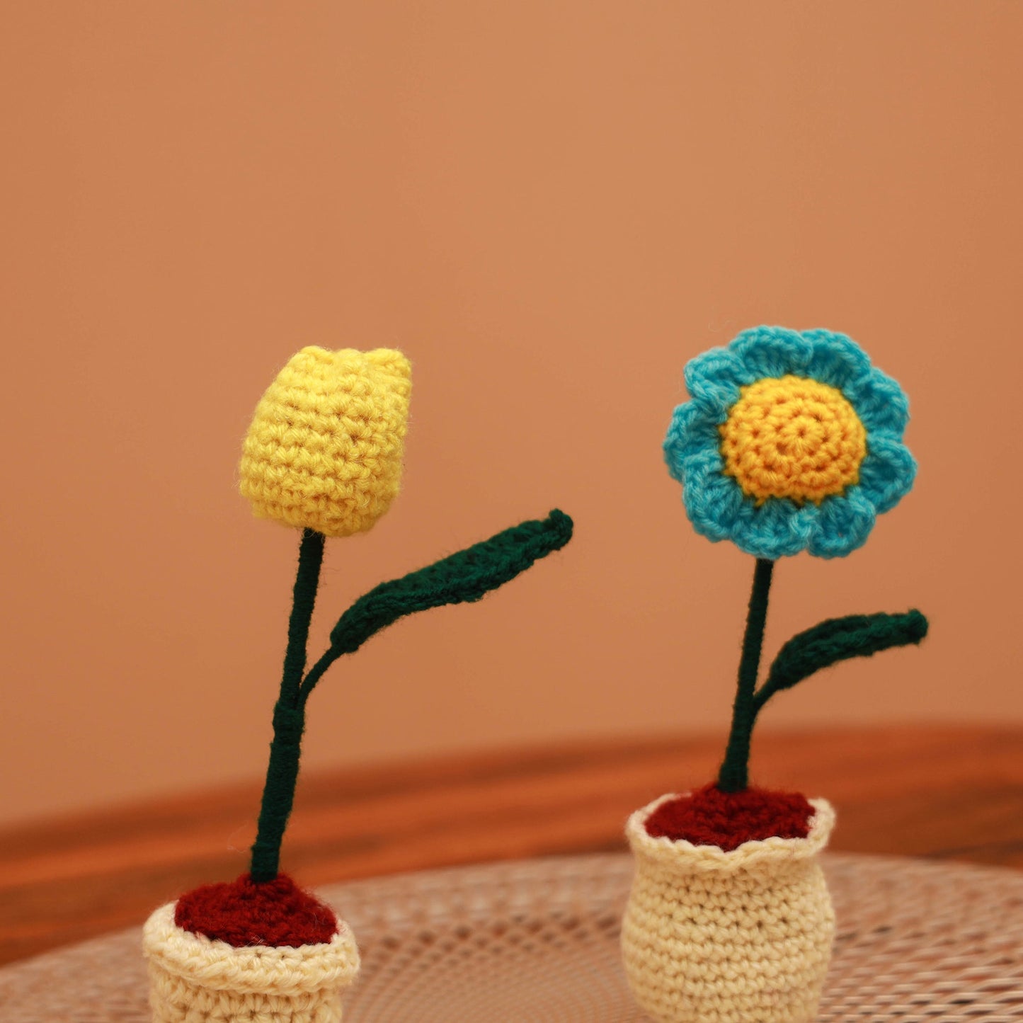 Handmade crochet flower pots (set of 2) 24 - handcrafted
