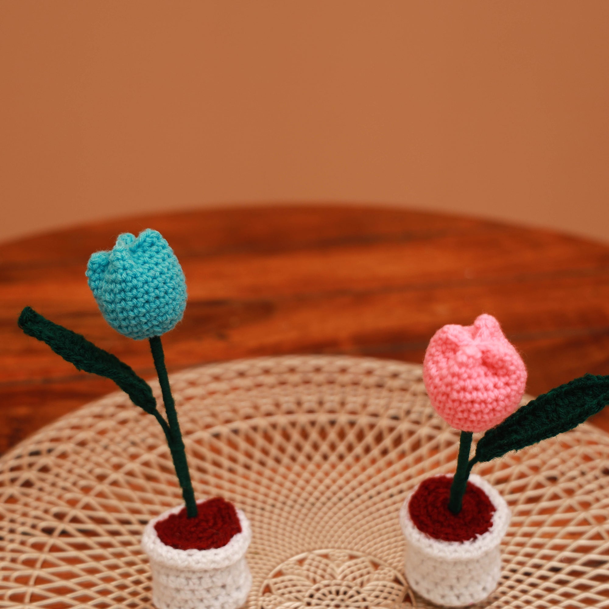 Handmade crochet flower pots (set of 2) 25 - handcrafted