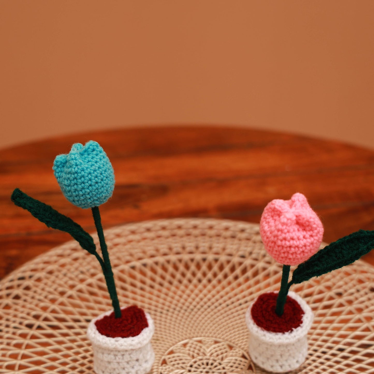 Handmade crochet flower pots (set of 2) 25 - handcrafted