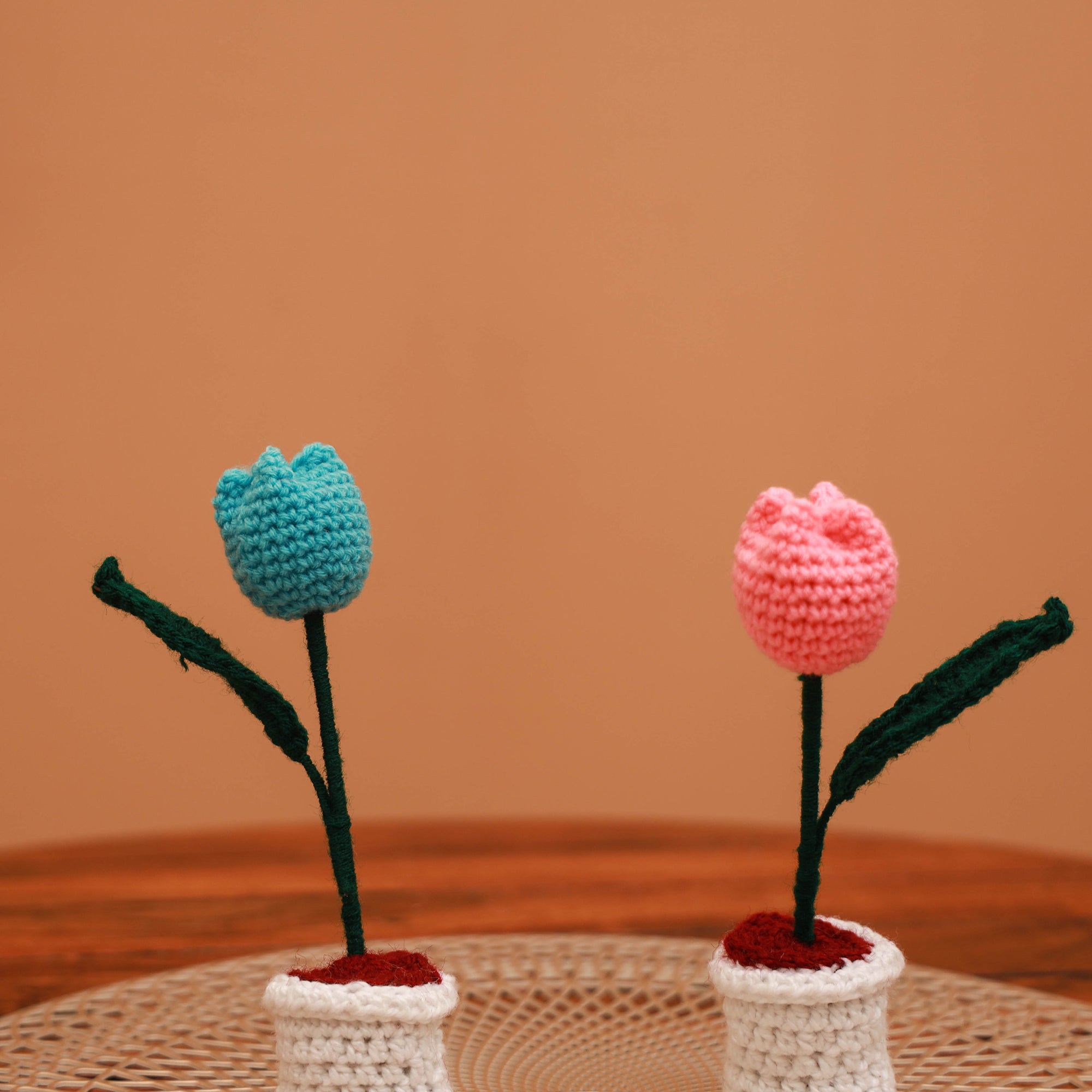 Handmade crochet flower pots (set of 2) 25 - handcrafted